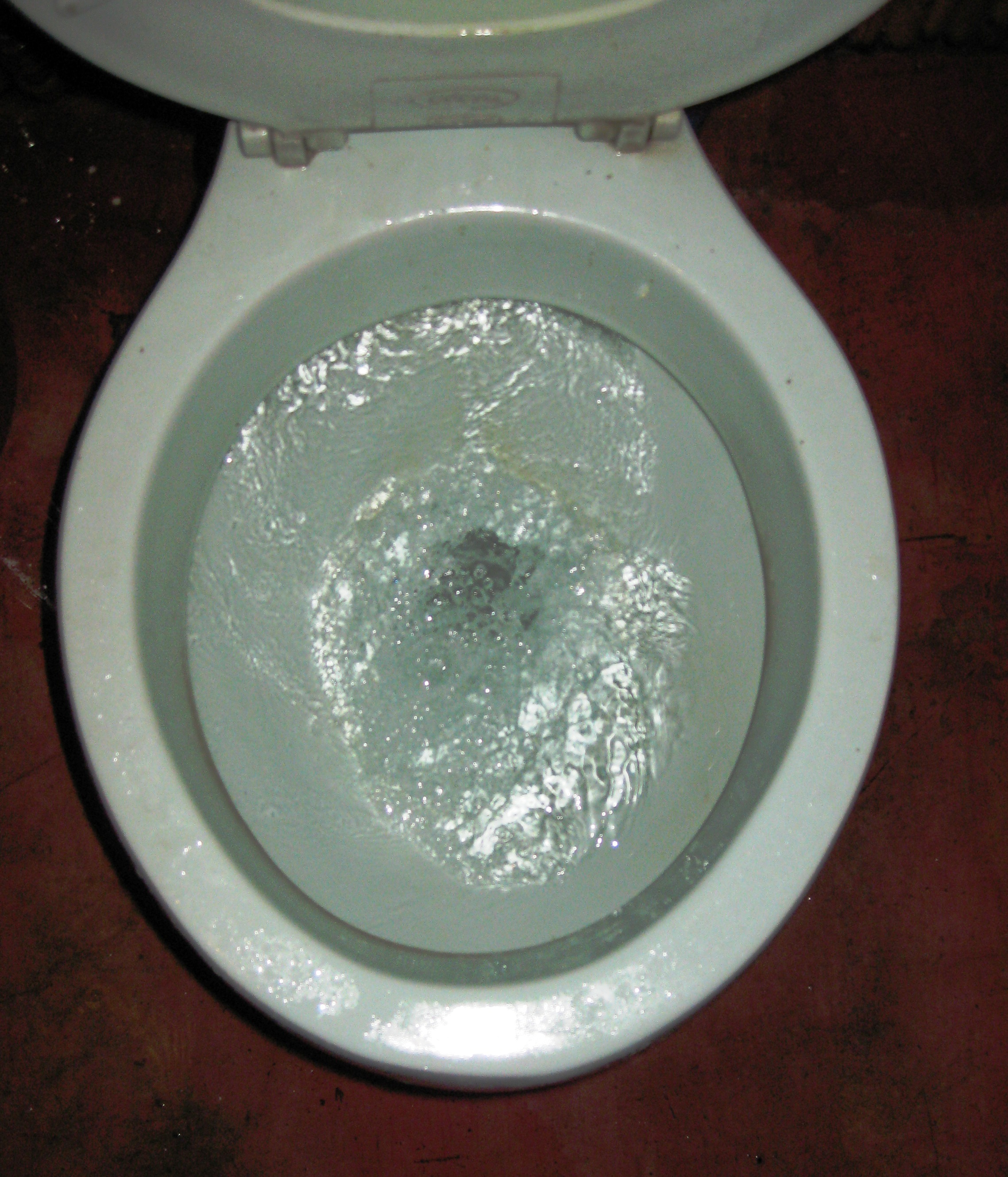 equatorial-toilet-ccw.jpg